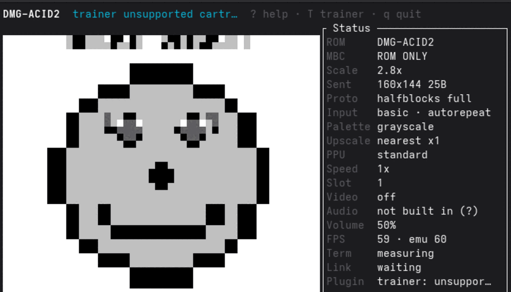 The same dmg-acid2 demon face drawn with half-block characters, now with hard edges and flat blocks of tone.